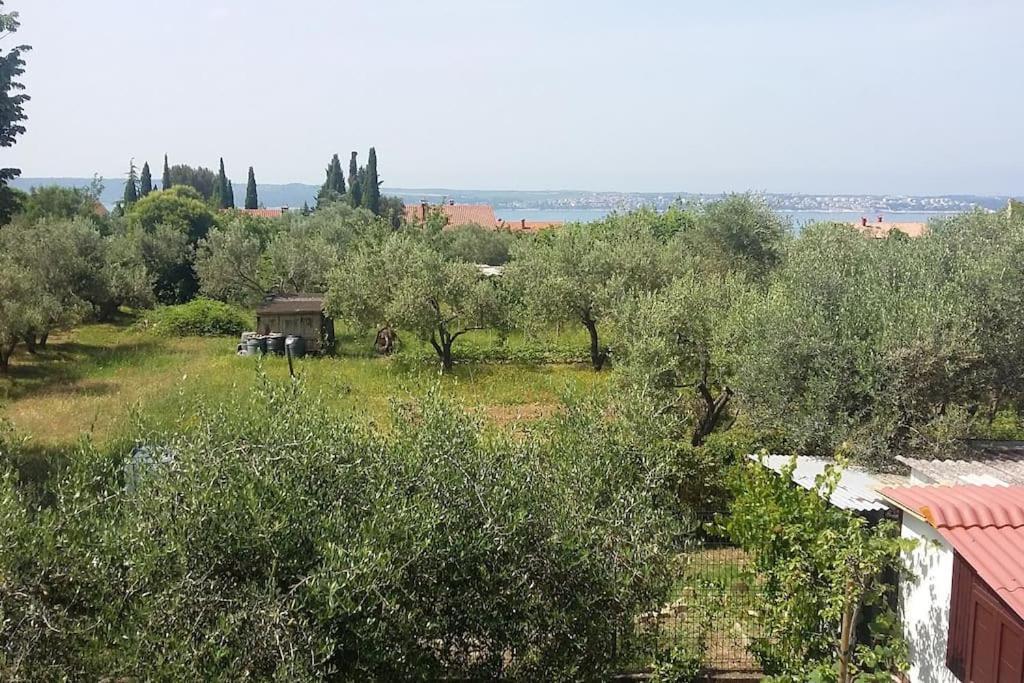 Apartma Iva Πιράν Εξωτερικό φωτογραφία