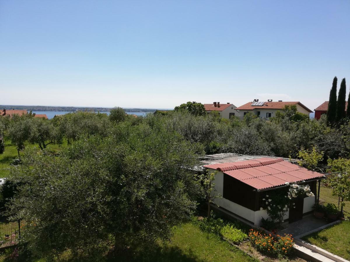 Apartma Iva Πιράν Εξωτερικό φωτογραφία